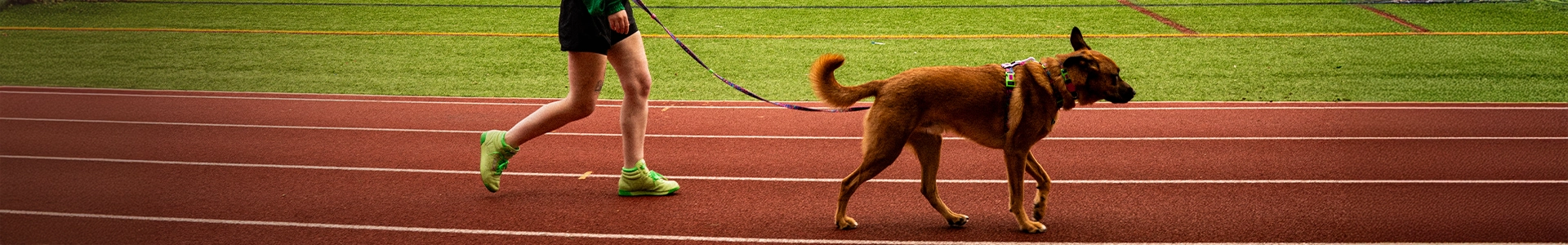 Banner Coleção Naturals - Zee.Dog