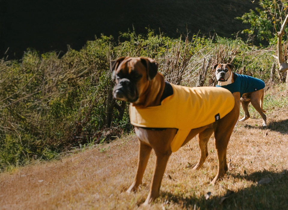 Seleção Inverno | Zee.Dog 