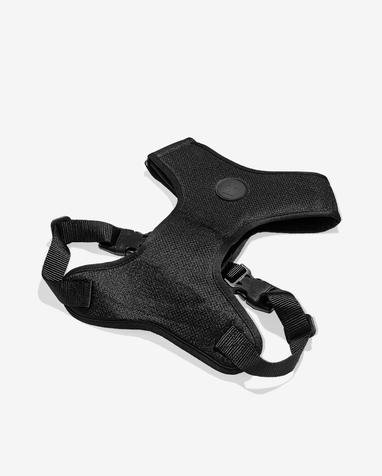 Peitoral para Cachorros Air Mesh Ajustável NOX Lumen | Zee.Dog