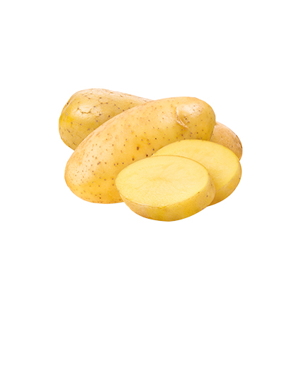 batata-inglesa